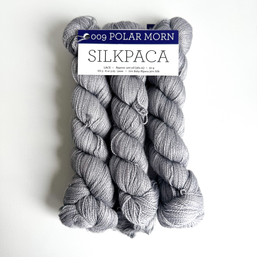 Ręcznie farbowana włóczka Malabrigo SILKPACA SA009 Polar Morn