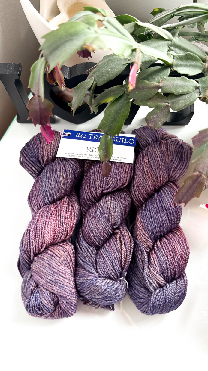 Włóczka Malabrigo RIOS RIO841 TRANQUILO
