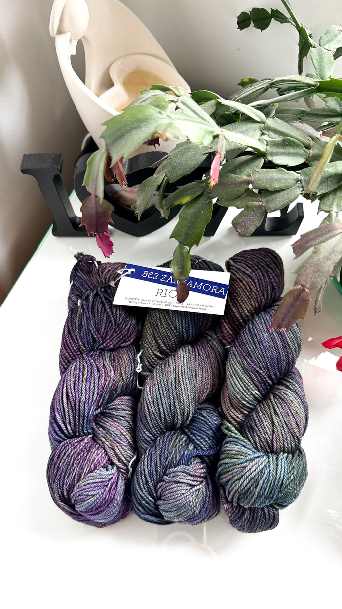 Włóczka Malabrigo RIOS RIO863 ZARZAMORA