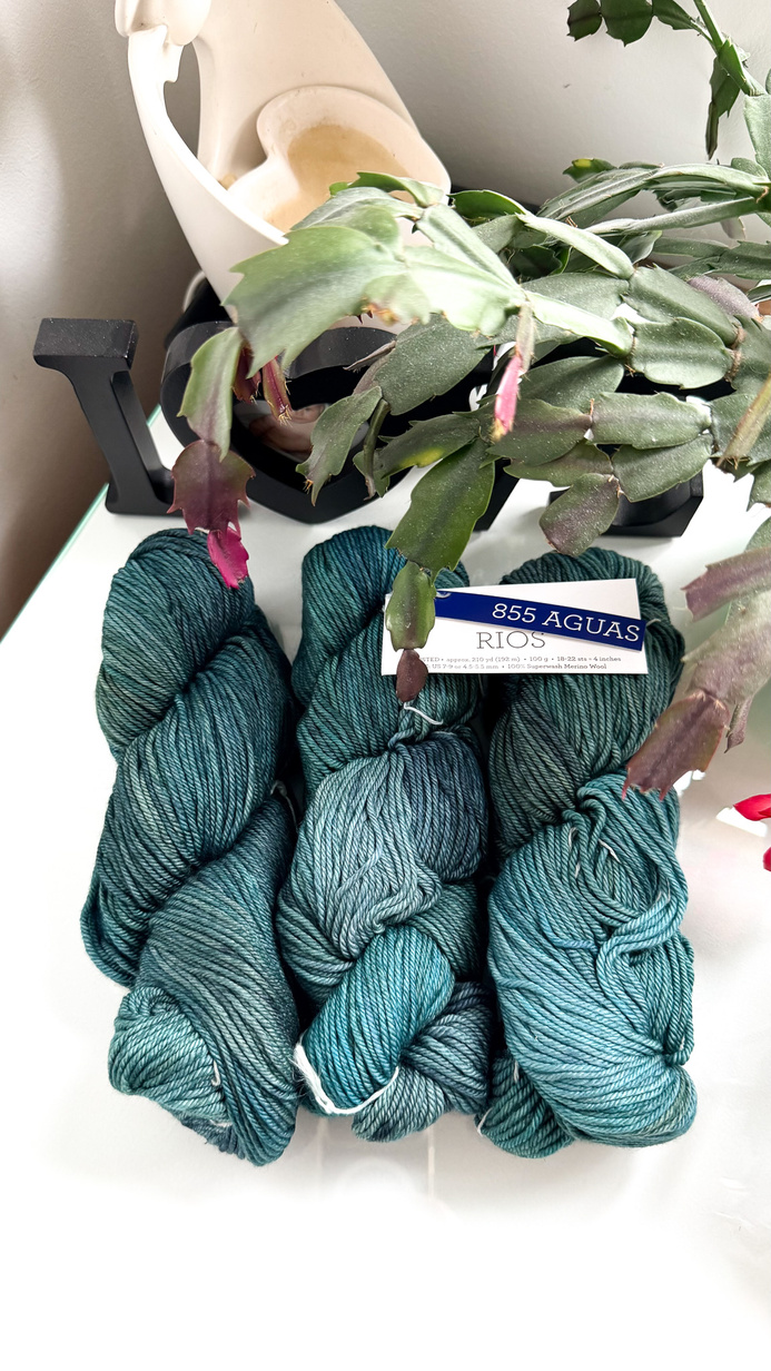Włóczka Malabrigo RIOS RIO855 AGUAS