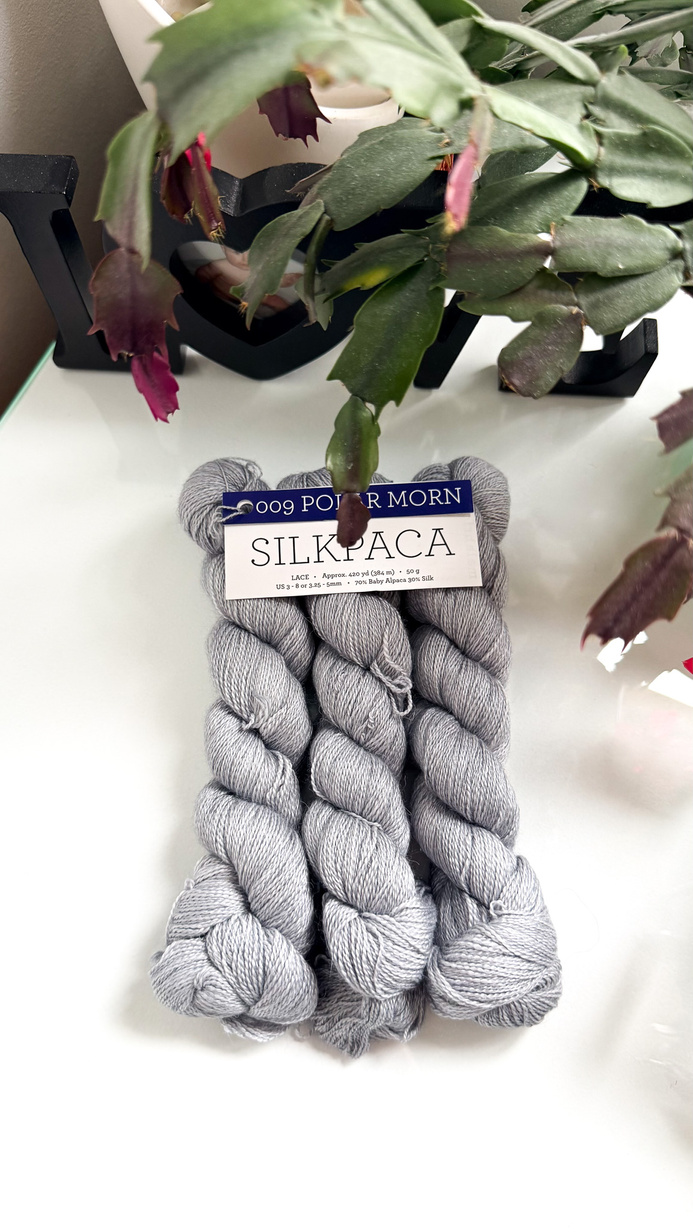 Ręcznie farbowana włóczka Malabrigo SILKPACA SA009 Polar Morn